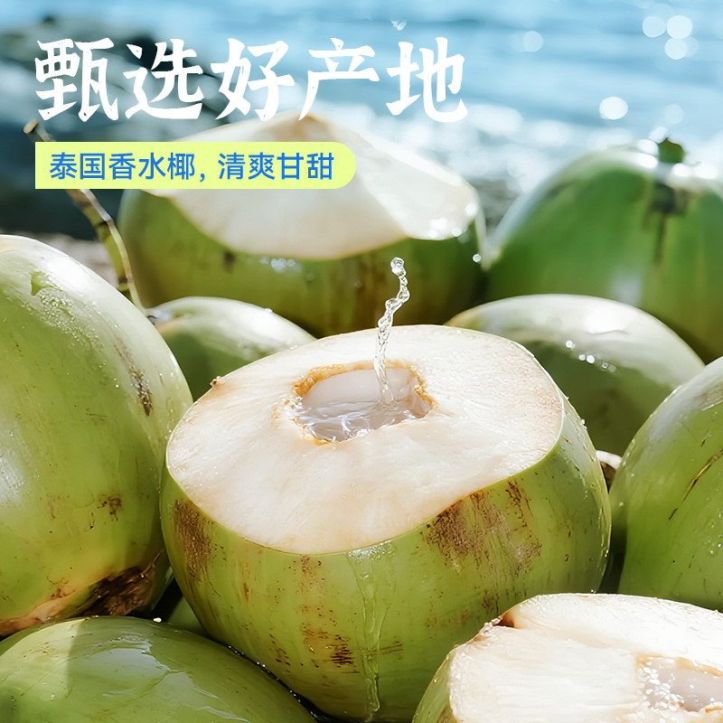 农垦惠饮 NFC100%纯椰子水 245ml（6瓶装）