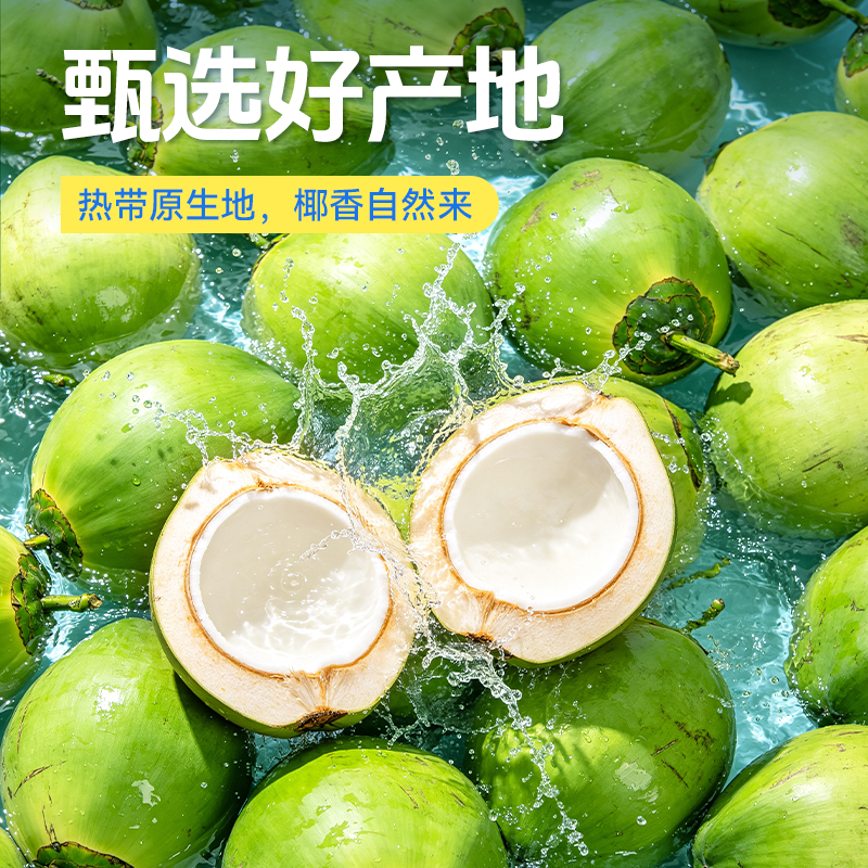 农垦惠饮 NFC100%纯椰子水350ml（6瓶装）
